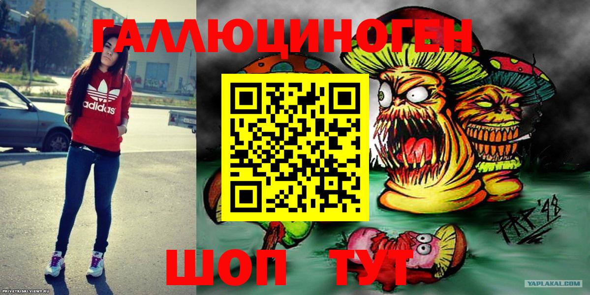 Галлюциногенные грибы прущие грибы  Вход с VPN  Камень-на-Оби 